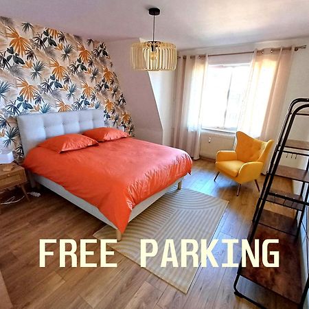Confortable Spacieux Grand Rue - Garage Saverne Exterior photo